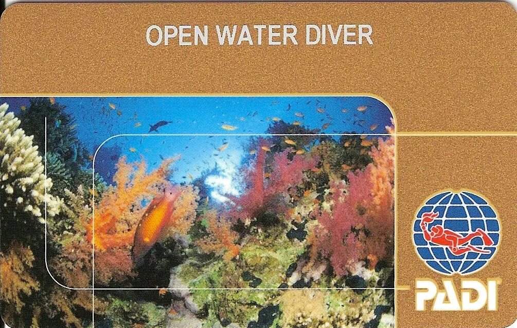 Padi open. Open Water Diver сертификат. Сертификат Padi open Water. Padi Advanced open Water Diver. AOWD Padi сертификат.