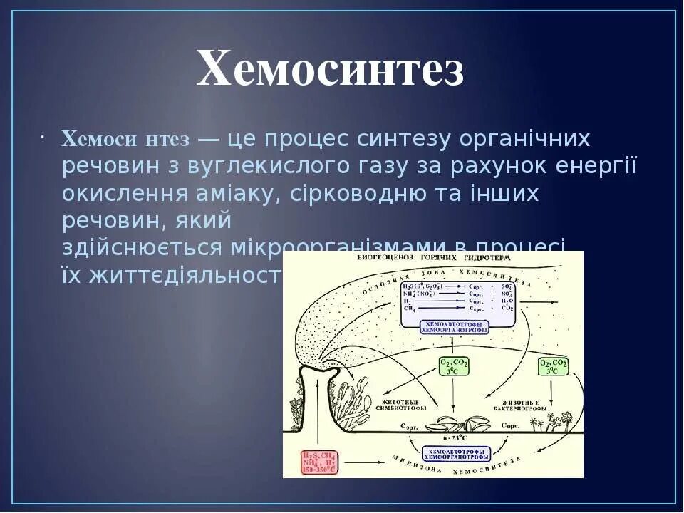 Хемосинтез источник. Хемосинтез схема. Процесс хемосинтеза. Хемосинтез схема процесса. Хемосинтез это в биологии.