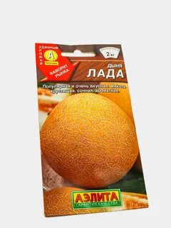 Дыня лакомка
