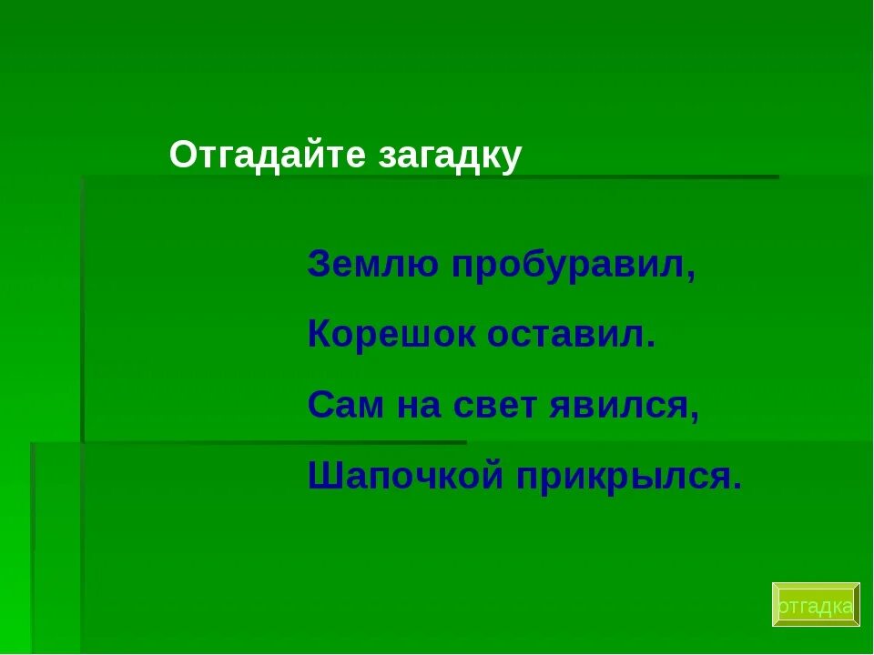 Загадка цветов 3
