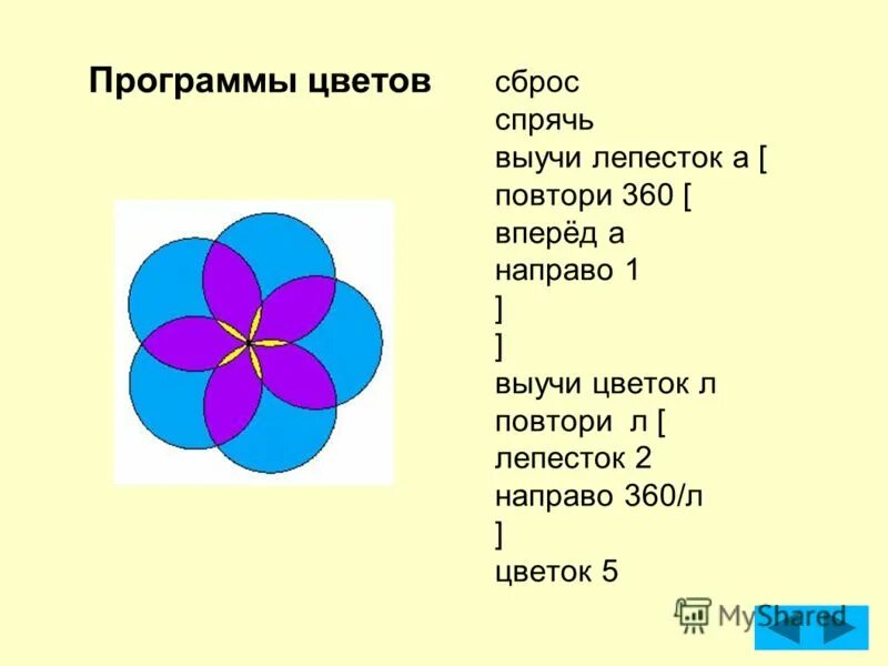 Компьютерная программа для улучшения зрения. Цветок для глаз тренажер. Программа цветок для зрения. Игра цветочек для зрения. Компьютерная программа цветок.