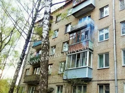Королев садовая