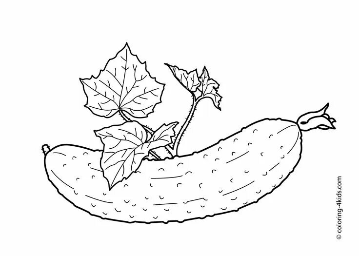 Раскраски овощи распечатать 5 6 лет Pin by Agnes Rozpi on w Female sketch, Art, Female
