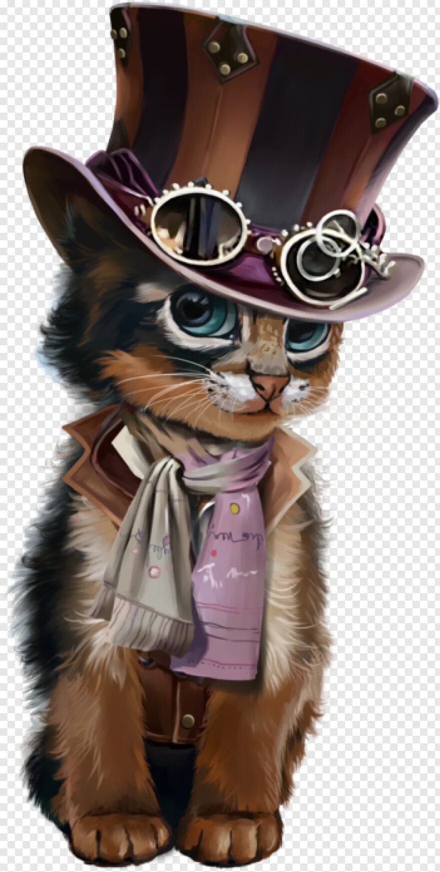 Cat styled