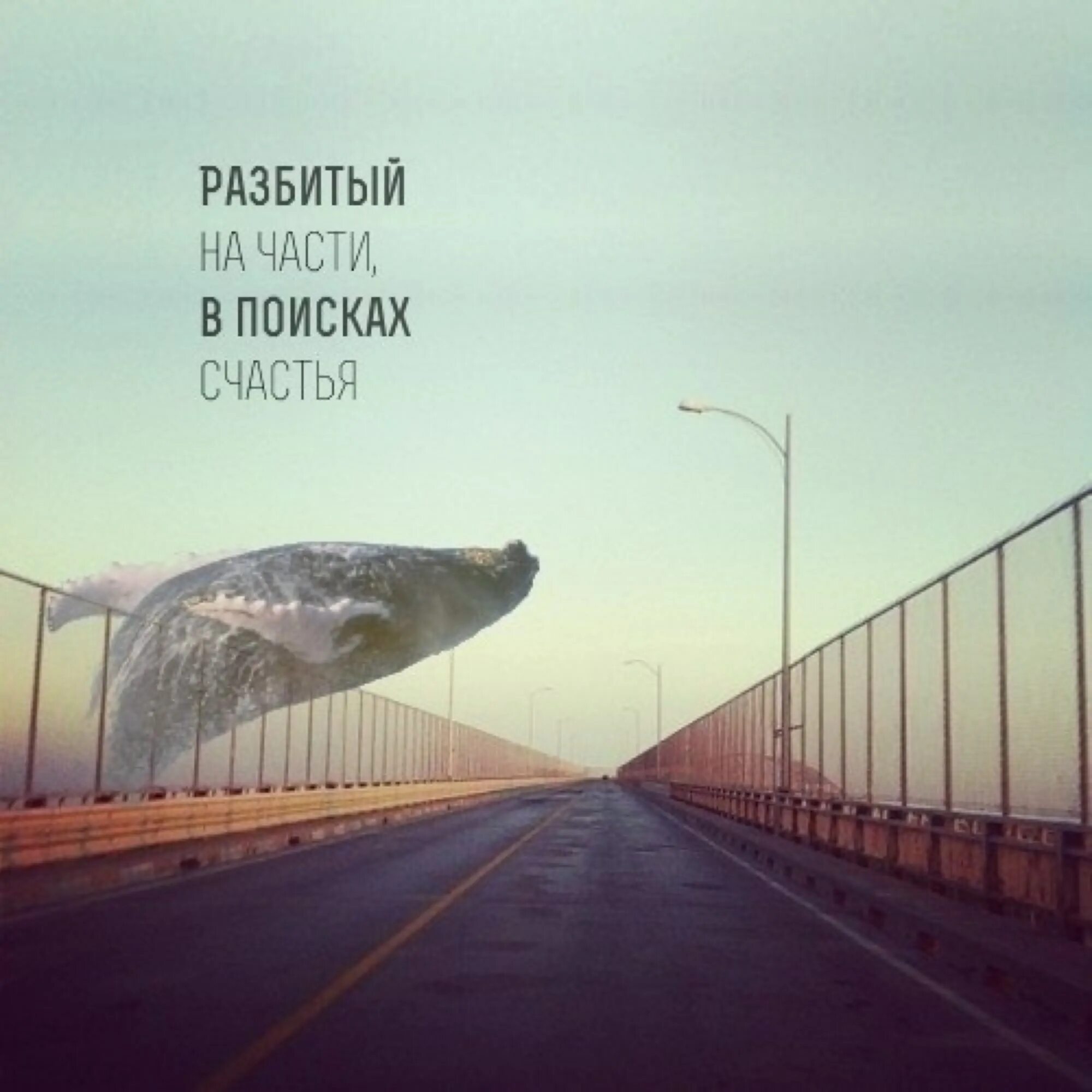 Счастье разбито. Разбитый на части в поисках счастья. в поисках счастья. в поисках счастья картинки. разбитое счастье.