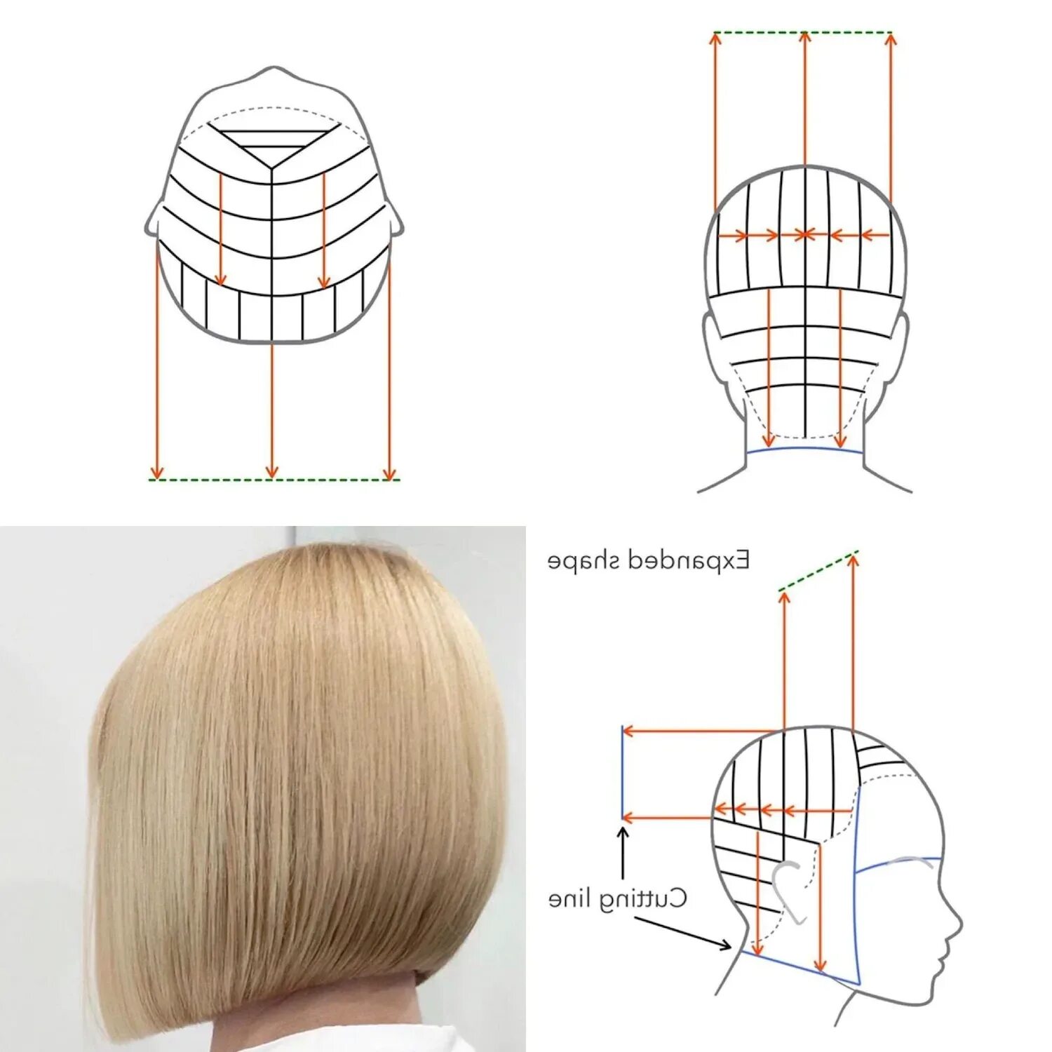 Технология стрижки градуированное каре. Схема стрижки Боб каре градуированное. Технология стрижки градуированное каре схема. Техника стрижки градуированного Боб каре. Как стричь удлиненную