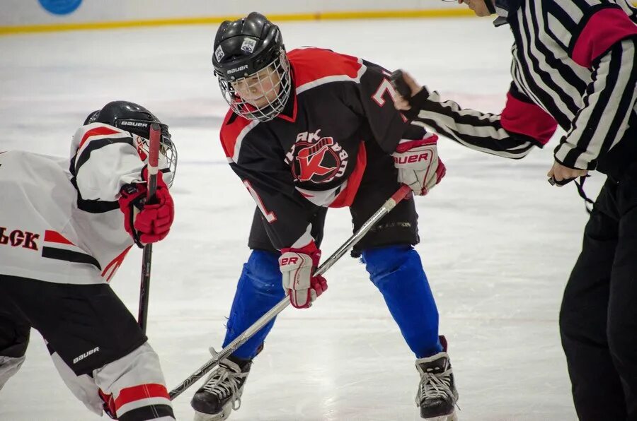 хоккей. кубок вхл. цска динамо кхл. новый хоккея. новый хоккея.