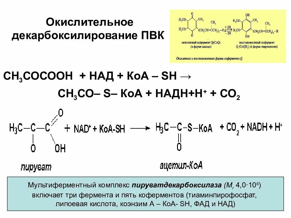 Окислительное декарбоксилирование ЛИАЗЫ. Окислительное декарбоксилирование пирувата схема. Окислительное декарбоксилирование пирувата химизм. Окислительное декарбоксилирование пирувата реакции.