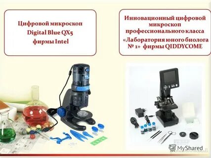 Цифровой микроскоп название деталей 5 класс