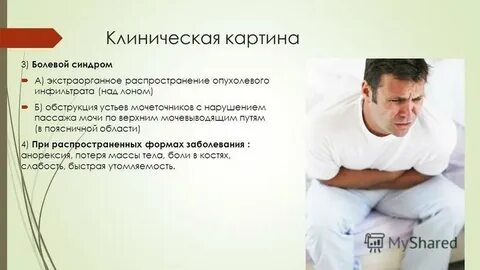 Над лоном