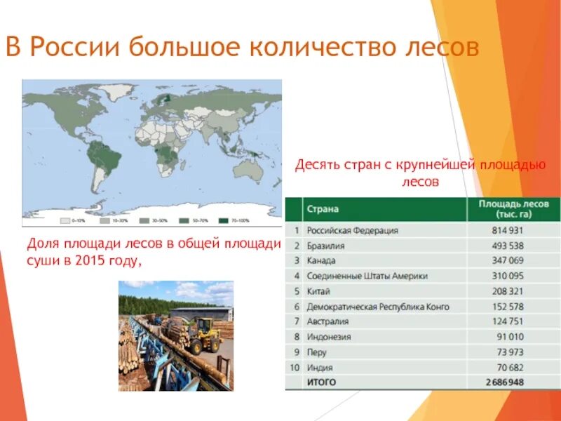 Страны без лесов. Десять стран с крупнейшей площадью лесов. Страны по площади лесов.