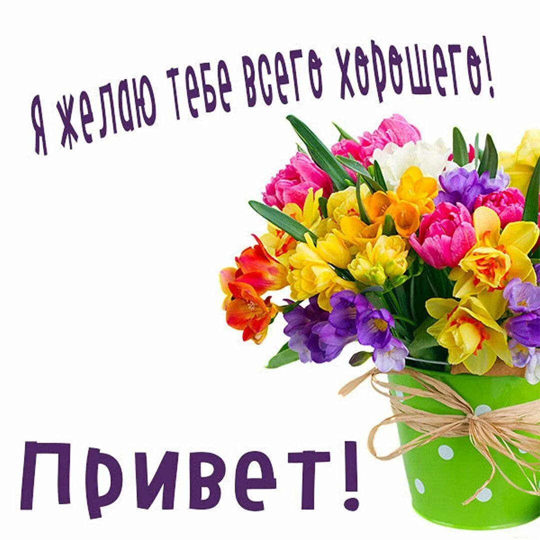 Как поживаешь подруга