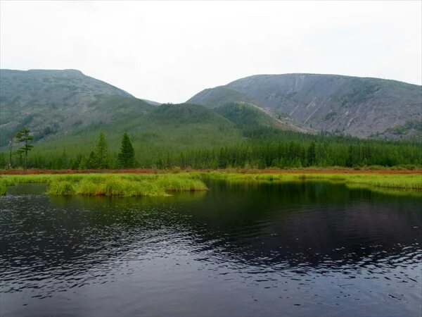 Куанда забайкальский. Куанда бам. Поселок куанда забайкальский край. Станция кодар. Погода в куанде забайкальский.