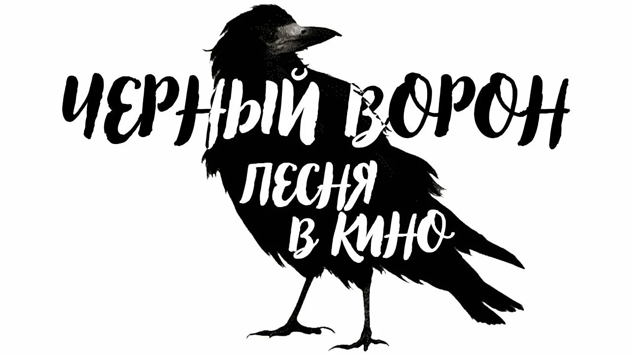 Песню черный рос рос. Ворон. Ворона. Чёрный ворон песня. Чёрный ворон чёрный ворон песня.