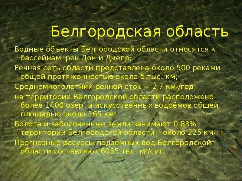 Водные богатства имеют естественное происхождение. Водные богатства Белгородской области. Водные богатства Белгородчины. Водные богатства Белгородского края. Богатства Белгородской области.