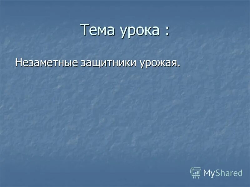 незаметные защитники урожая 4 класс