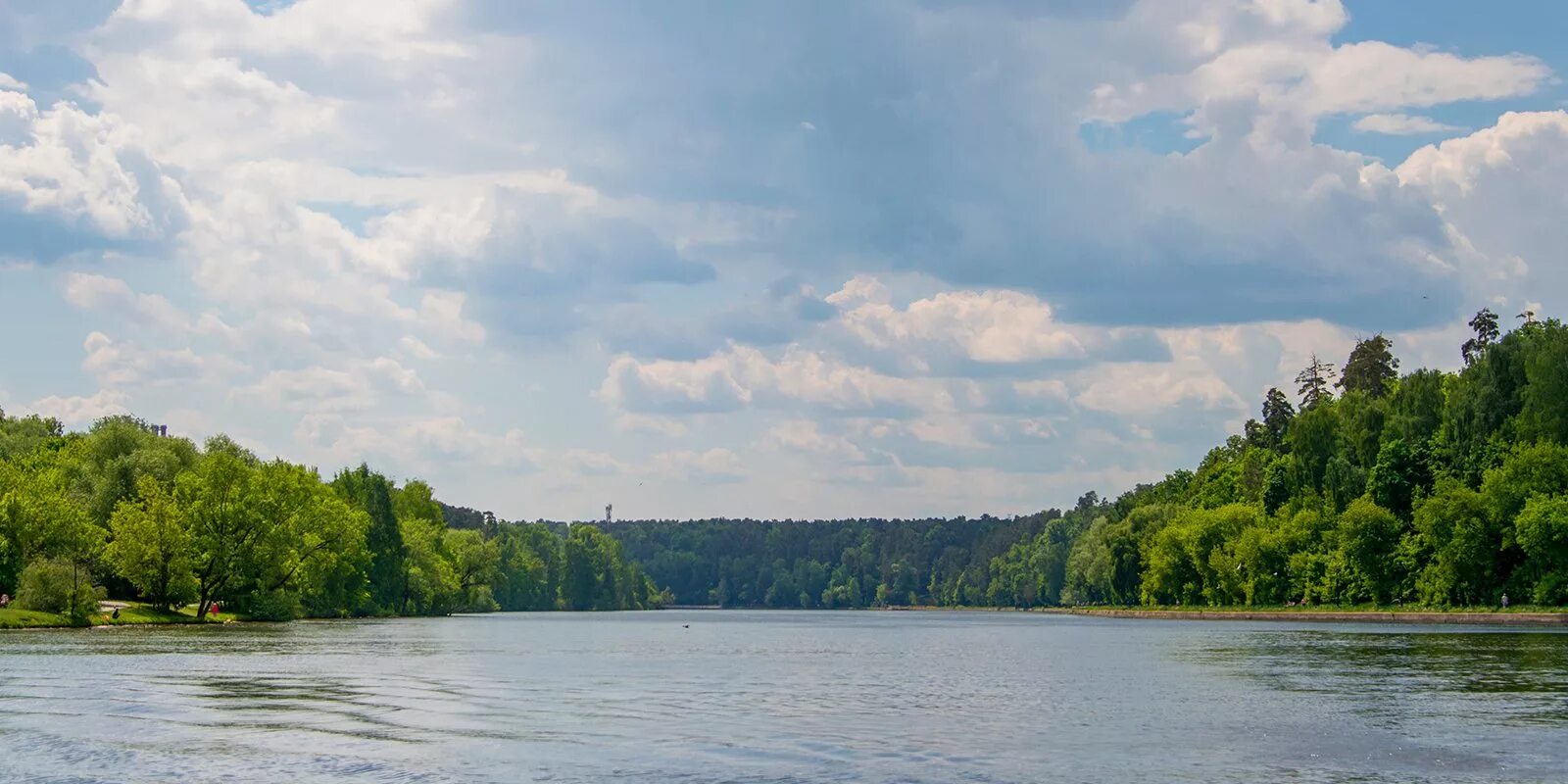 Москворецкий парк Кировская Пойма. Москворецкий (природно-исторический парк). Москворецкий заповедник. Пип Москворецкий. Природным парком москворецкий