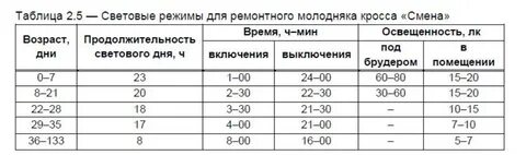 Какая температура в помещении у бройлеров