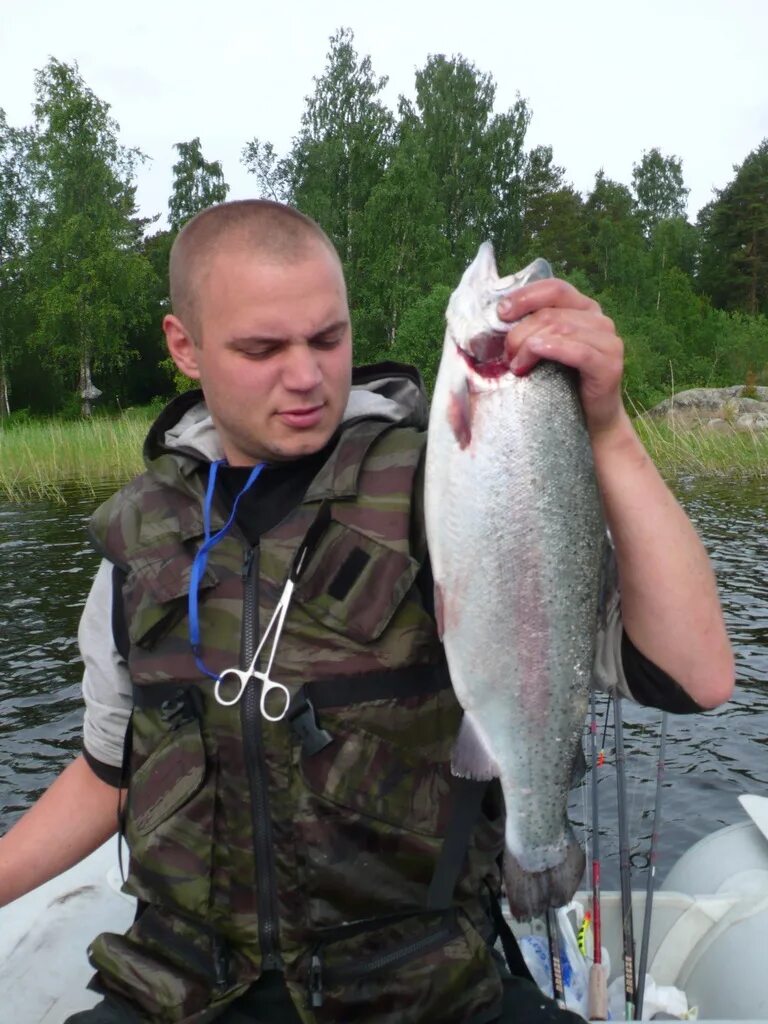 Сбежала форель в карелии. Форель Карелия. Ловля форели в Карелии. Кумжа Карелия. Форель в Озерах Карелии.