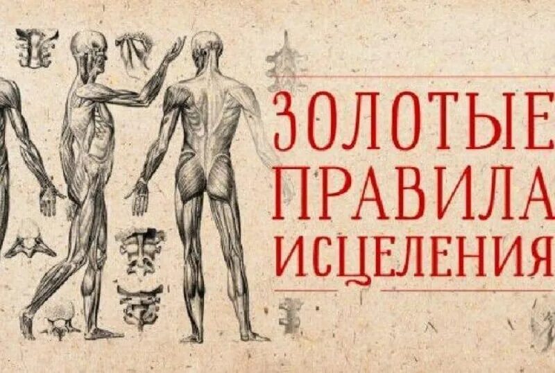 Исцелить себя сам. Исцеление самого себя. Исцелить себя самому. Мы Исцеляем себя сами.