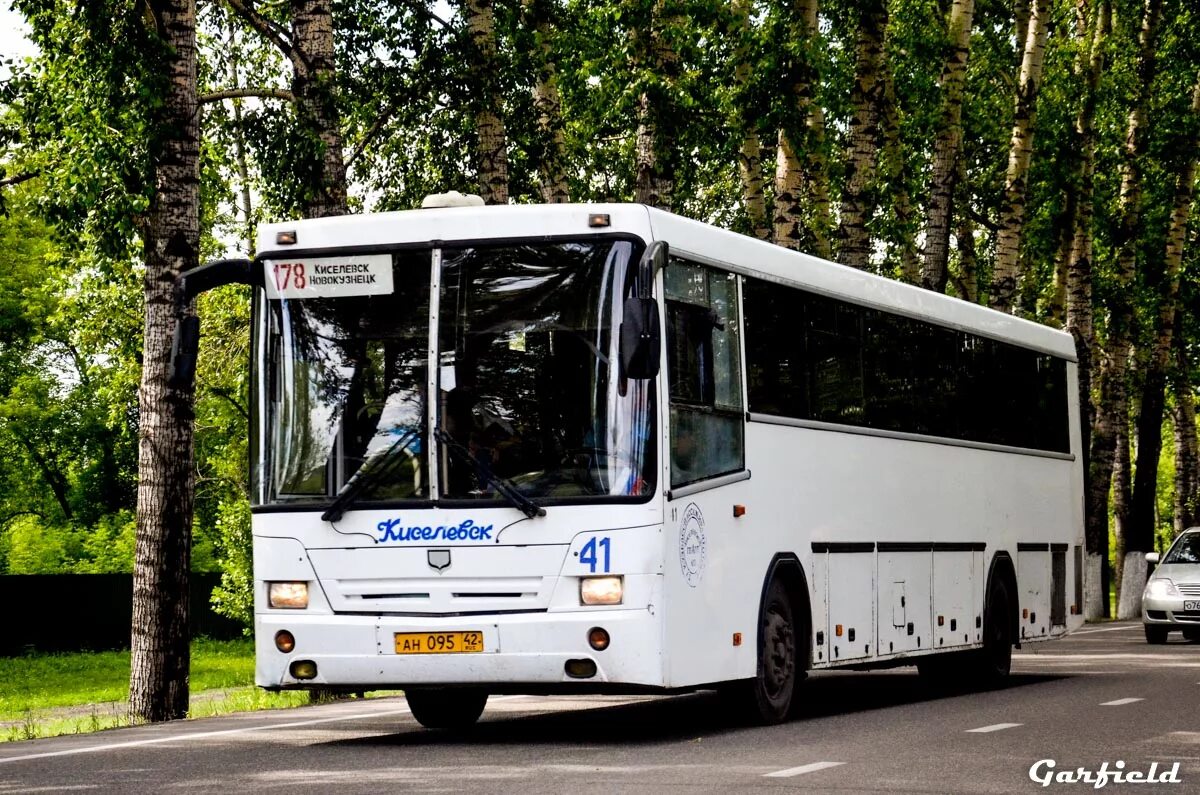 Расписание автобусов новокузнецк муниципальных. Прокопьевское патп автобус паз. Автобус новокузнецк киселевск. Автобус 601 новокузнецк новосибирск. Автобус новокузнецк.