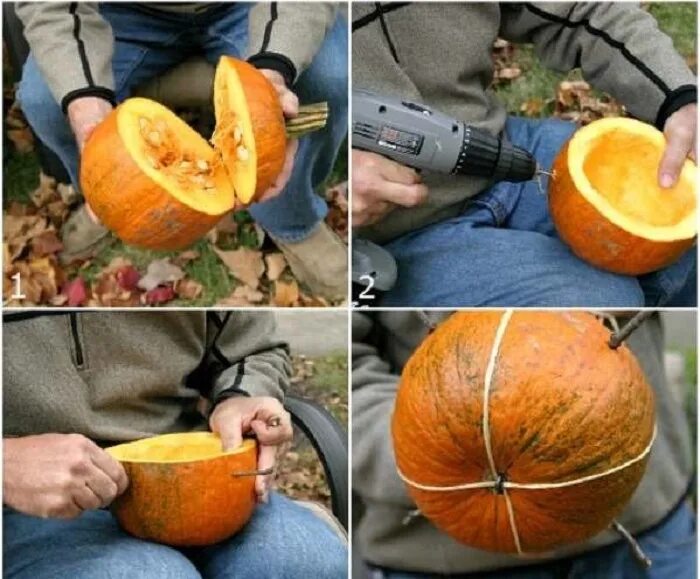 Кормушка для птиц из тыквы своими руками. Эко кормушка из тыквы. кормушка из тыквы своими руками. кормушка из тыквы для птиц своими руками. эко кормушка для птиц своими руками из тыквы.