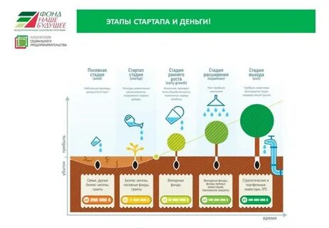Start up examples