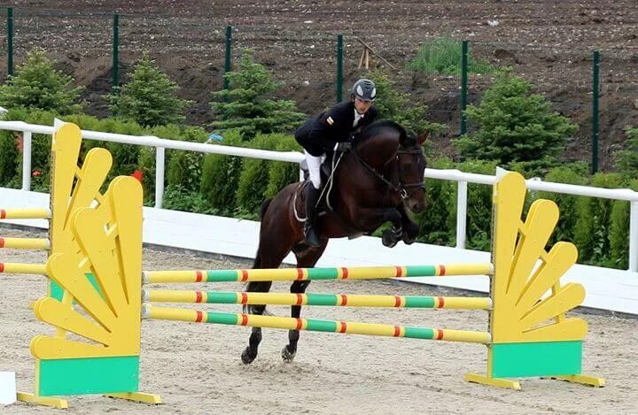 Цены голден хорс. КСК Голден Хорс. Голден Хорс Таганрог. КСК Golden Horse, Таганрог. Golden Horse Таганрог гостиница.