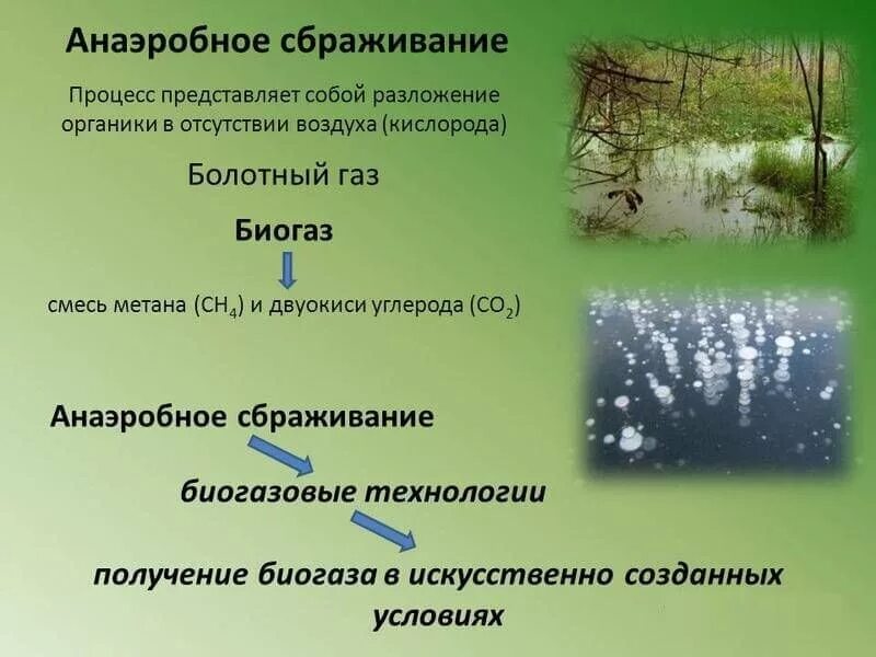 Анаэробное сбраживание. Анаэробное брожение. Процесс анаэробного сбраживания. Анаэробное сбраживание отходов. Аэробное соединение