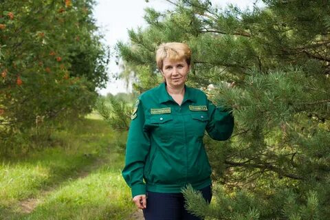 Куйбышевское лесничество