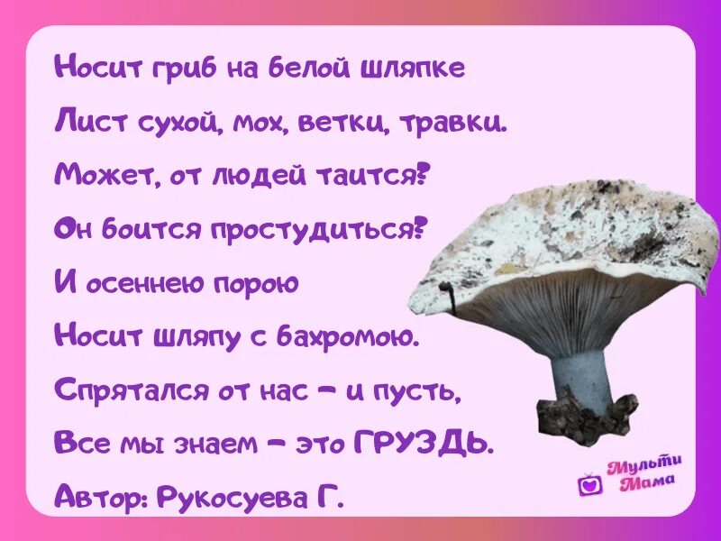 Стихи про грибы. Стишки про грибы. Детские стихи про грибы. Стих про грибы для детей. Стихотворение ох грибок ты мой грибочек