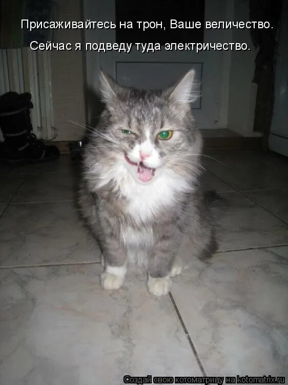 отстаньте ваше высочество. отстаньте ваше высочество. казнить помиловать сжечь. ваше величество мем. конец старого порядка 8 класс краткий пересказ.