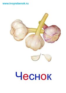 Карта чеснок