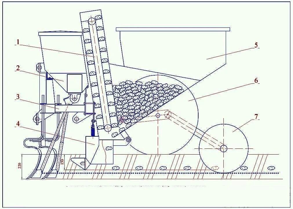 Самодельное сажалка. Картофелесажалка однорядная КСН-1м для мотоблоков чертеж. Картофелесажалка для трактора МТЗ 82 чертеж. Картофеля сажалка для трактора т 25 схема. Чертежи картофеля сажалки для мотоблока.