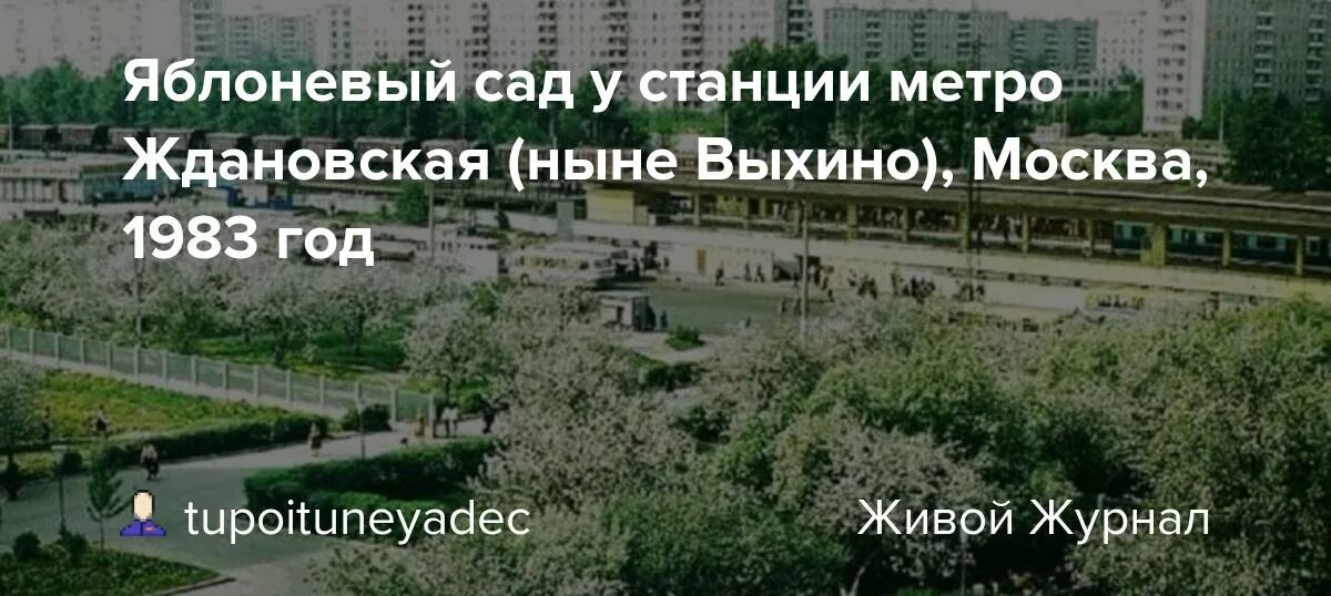 Дез выхино. Станция метро Яблоневый сад. ГУУ метро Выхино. Институт управления Выхино. Ждановская Москва Выхино.