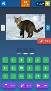 Как называется игра угадай животное