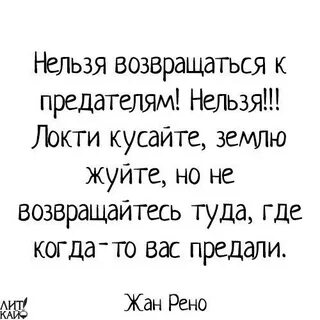 Предатель не возвращайся читать