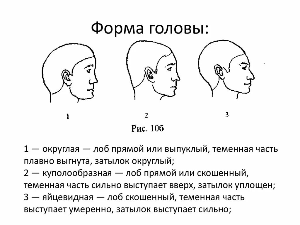 Определить затылок