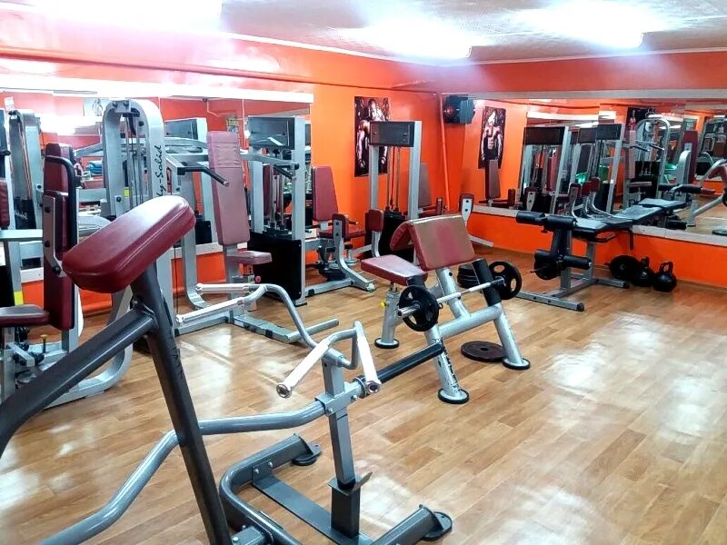 Фитнес клубы саратова заводской. Максюта лена саратов. Фитнес клубы саратова заводской. Nord gym северный парк. Спортивный клуб максюта саратов.