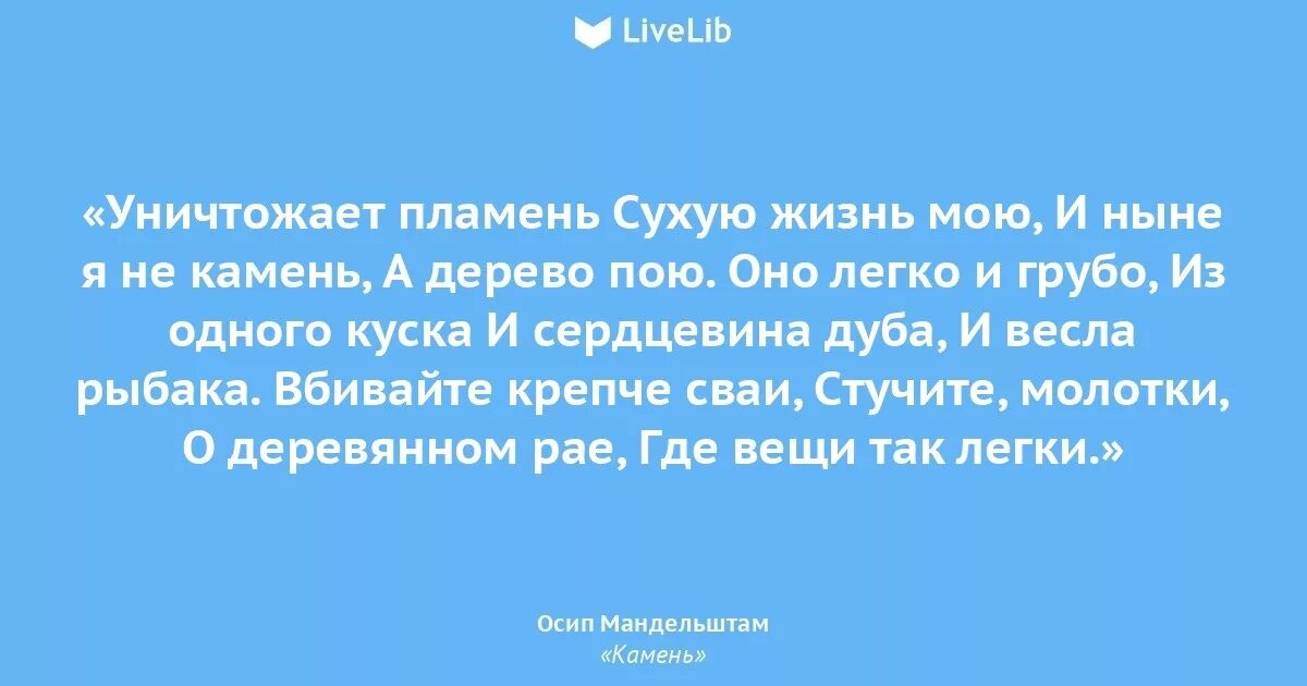 Сухая земля. Пустыня трещины. Дерево на скале. Сухая растресканная земля. Сухая земля.