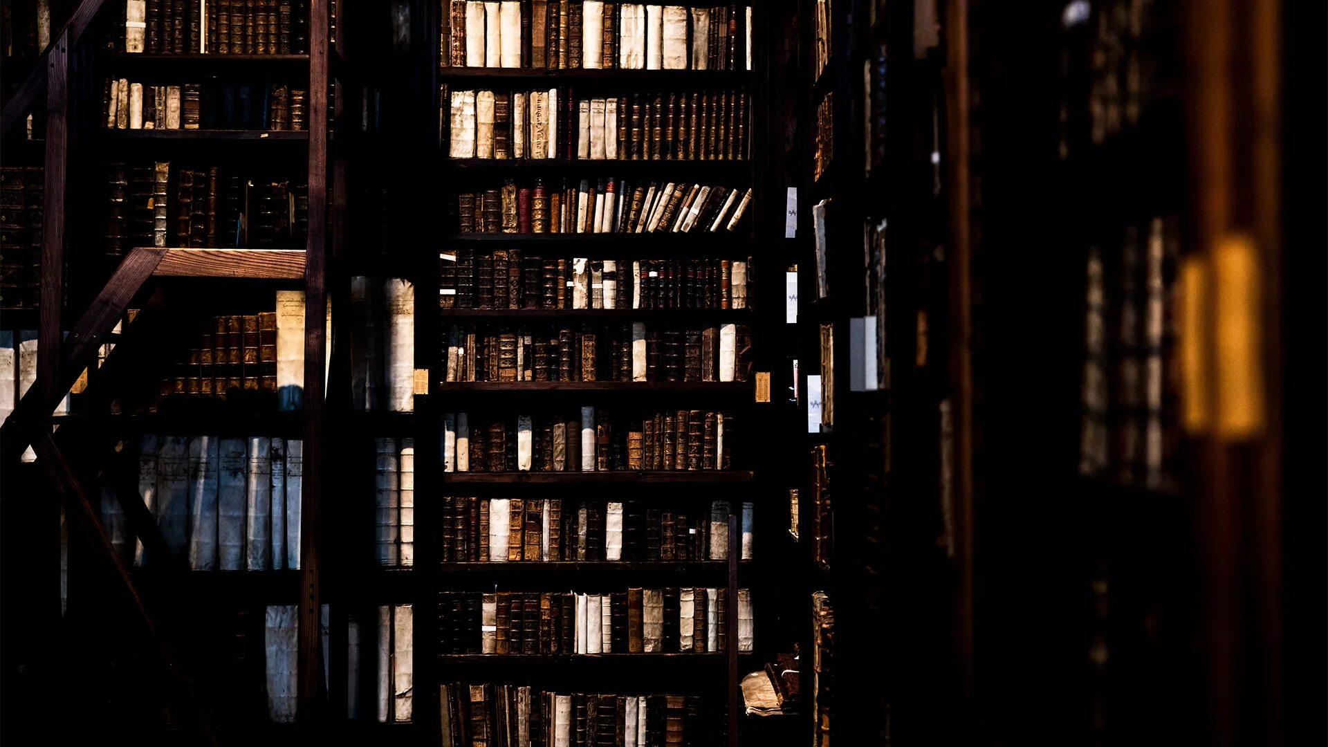 The dynamic library