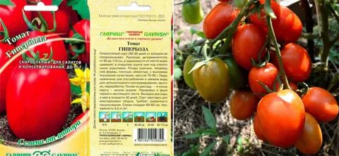Помидоры не требующие пасынкования для открытого грунта