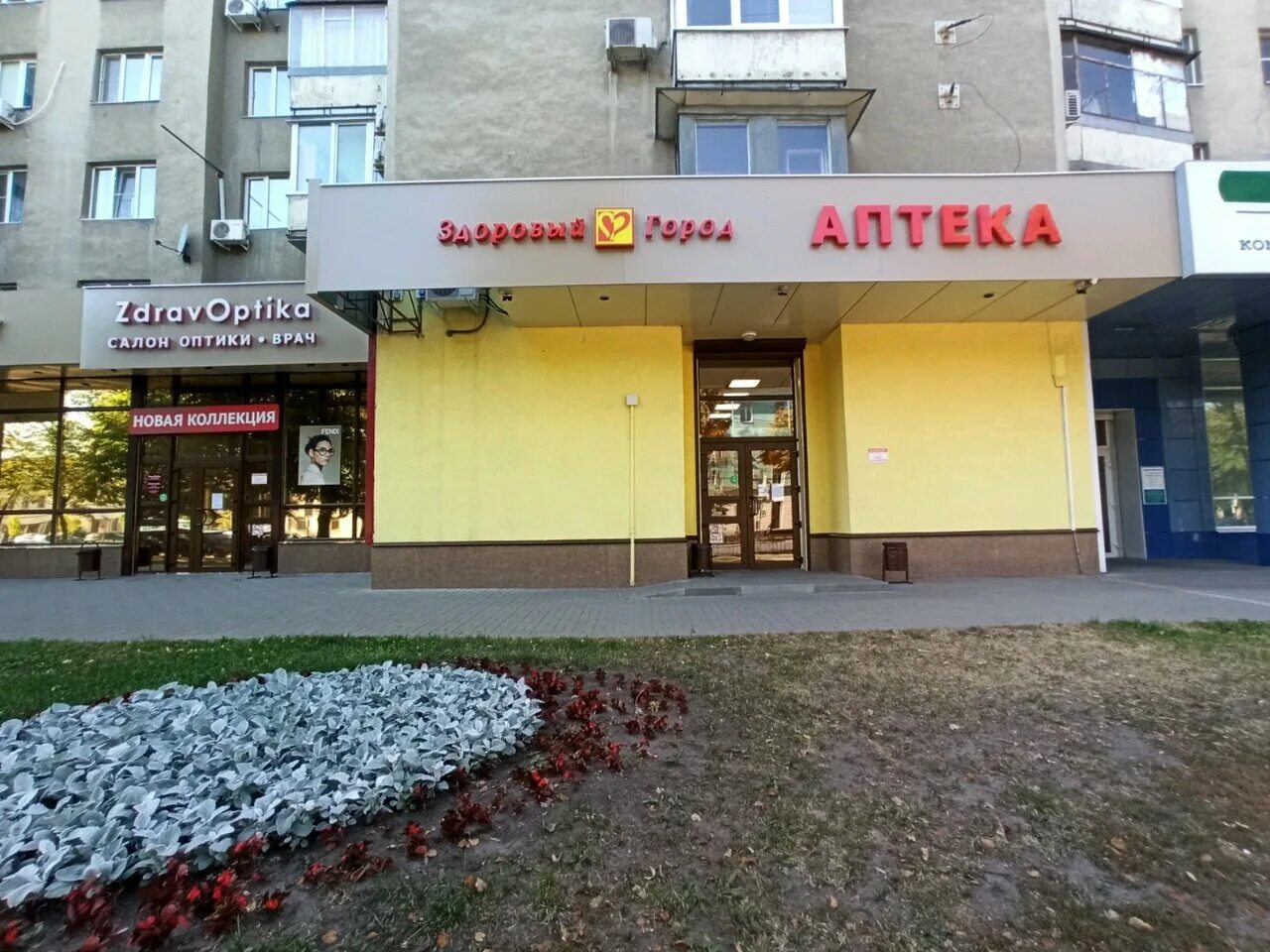 Воронеж улица кирова 10 lexistence. Воронеж улица кирова 10 lexistence. Белый хомяк декоративный. 10. Деньги сразу логотип.