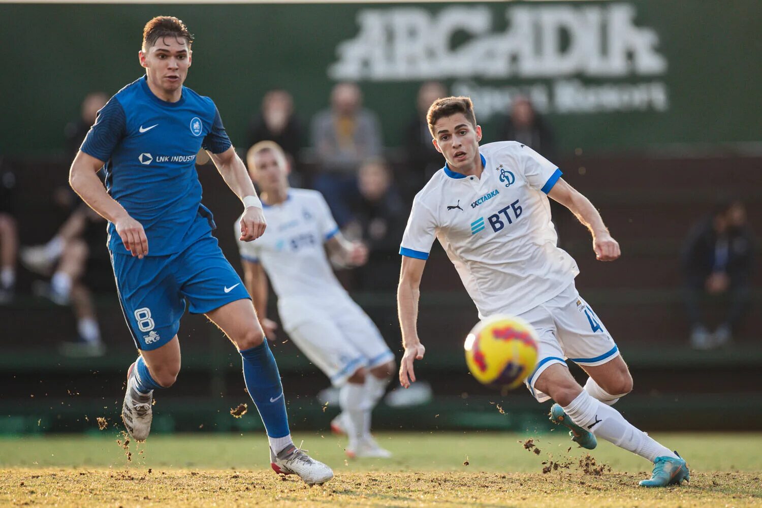 Динамо москва футбольный клуб. Сайт динамо москва футбольный. Сайт динамо москва футбольный. Московское динамо футбол. Сайт динамо москва футбольный.