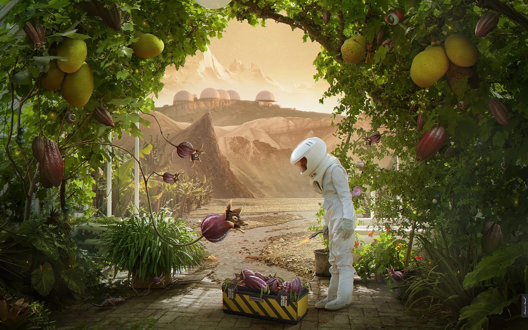 Сад огород мир космоса 2024. Сад огород под луной 2023. Космические фантазии рисунки на конкурс. Первый в космосе конкурс детского рисунка. Сад огород мир космоса 2024.