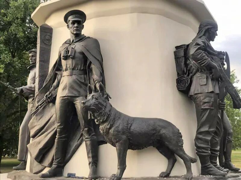 Аллея собака. Немецкая овчарка длинношерстная. Аллея сада с собакой картина. Разные собаки. Собака в цветущем саду фото.