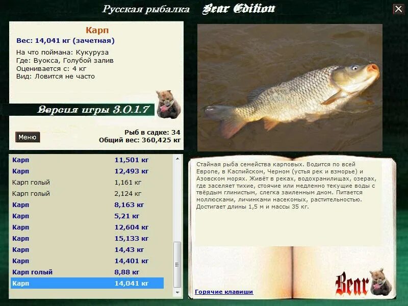 где кормится карп. где водится карп. где ловить карпа. рыба карп. карась семейство карповых.