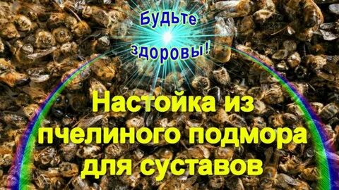 Подмор пчелиный для суставов