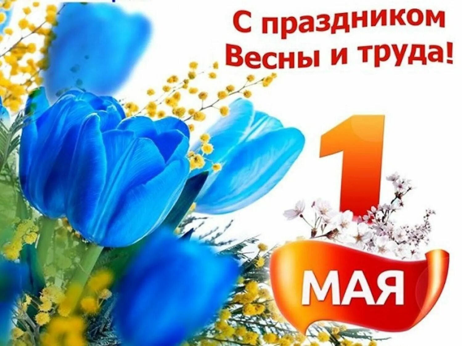 Изображение 1 мая