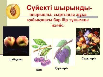 Семіз адамдармен ескі порно